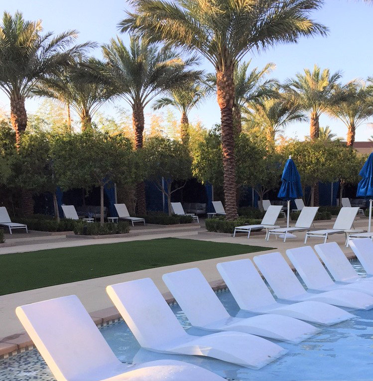 Orren Ellis McLoud InPool Chaise Lounge & Reviews Wayfair